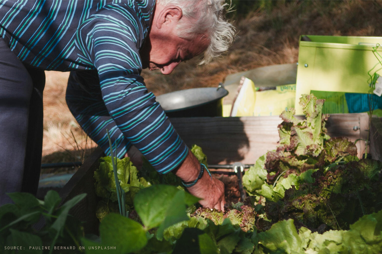 Helping out Grandpa